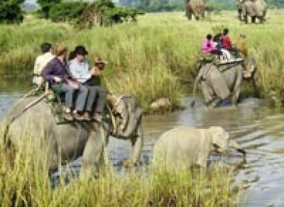 Kaziranga - Shillong - Guwahati Tour