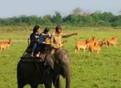 Kaziranga Weekend Getaway Tour