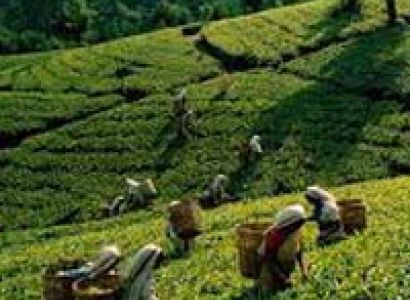 Assam - Arunachal Classic Tour