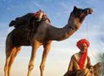 Golden Triangle Tour Package