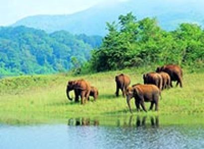 South India Wildlife Tour