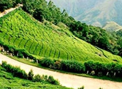 Kerala Splendor Tour