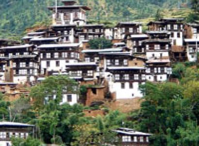 Gangtey/Gogona Trek Package