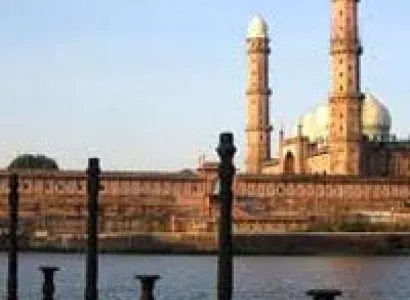 Wildlife Madhya Pradesh Jungle Safari Tour