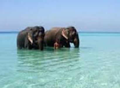Andaman Delight Tour