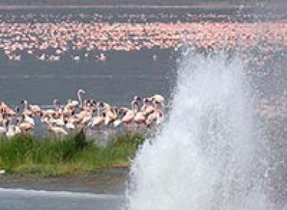 Amazing 5 Days Bird Watching Tour