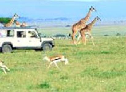 3 Days Maasai Mara Safari Tour