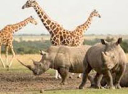3 Days Maasai Mara Safari Tour