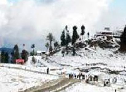 Shimla & Manali Volvo Tour (8 Days)