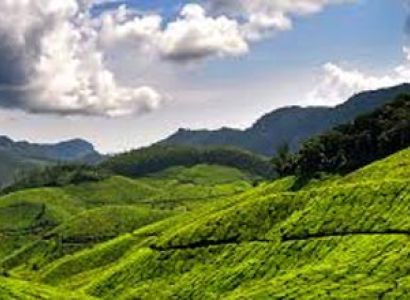 Kerala Munnar Travel Guide