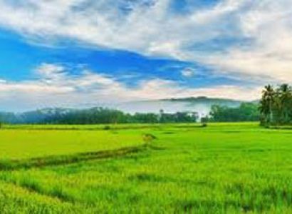 Kerala Athirapilly Package