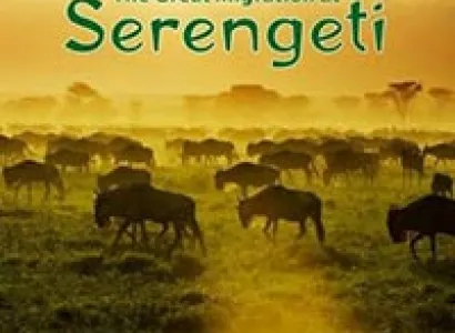 East Africa Highlight Tour