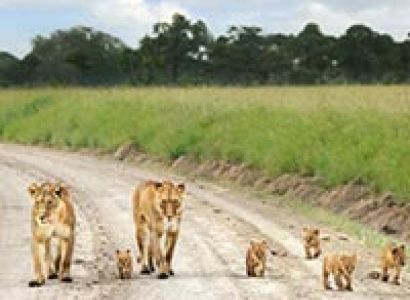 Dreams of Kenya Package