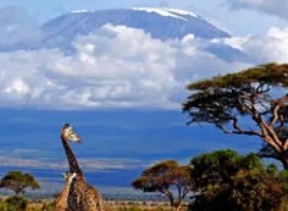 Best of Tanzania Tour