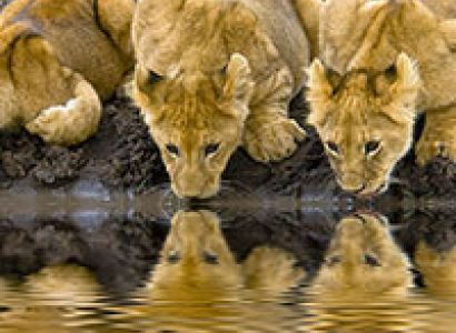 Exciting Tanzania Tour