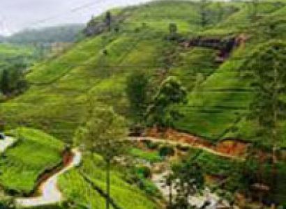 Visit Srilanka Tour