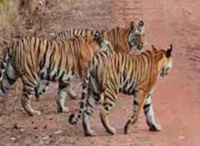 Rajasthan Tour Package For Adventure Lovers