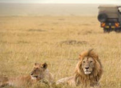 3-Day 2 Nights at Sweetwater’S / Ol Pejeta Conservancy Tour