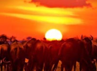 3-Day Samburu-Sarova-Shaba Safari