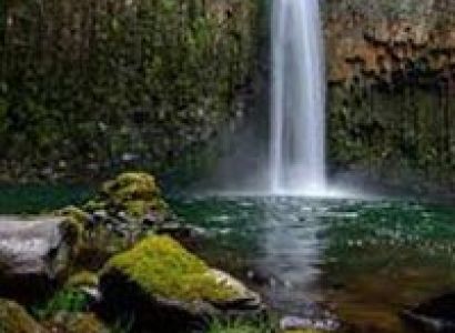 Shimla Short Escape Package