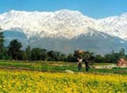 Splendid Dalhousie Khajjiar Tour