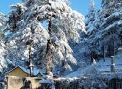 Shimla Calling Tour
