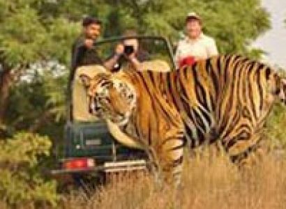 Jim Corbett with Nainital Tour