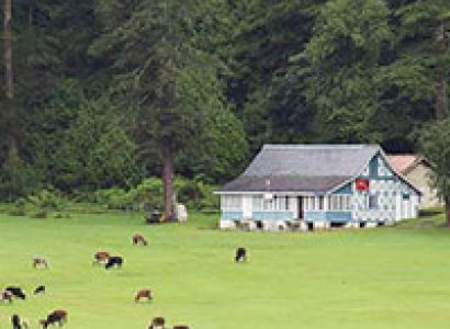 Chandigarh - Amritsar With Dalhousie Tour Package