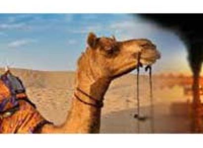 Exploring Rajasthan Tour