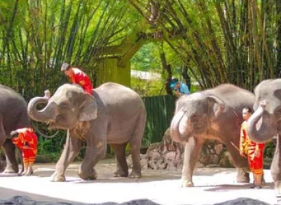 THAI RETREAT 05 Nights| 06 Days TOUR