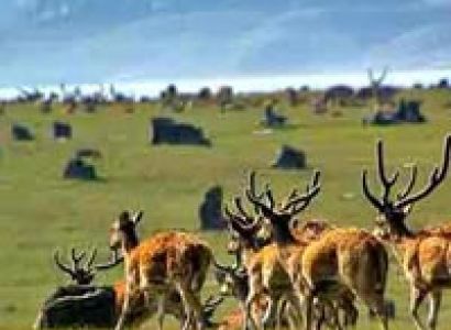 Delightful Uttarakhand Tour