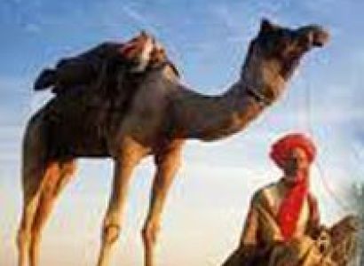 India Golden Triangle Tour