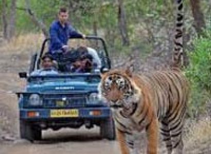 Rajasthan Wildlife Tour