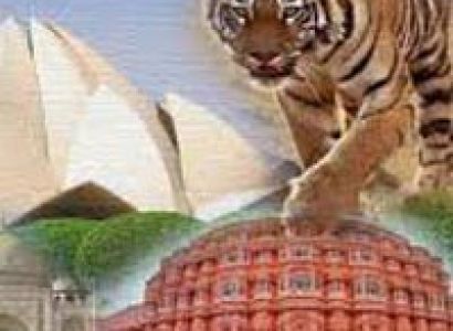 Golden Triangle and Tiger Tour