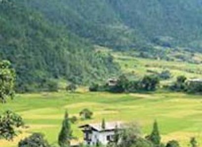 Punakha Festival Tours 6 night / 7 days