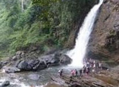 Kerala Hill stations & Backwater Tour