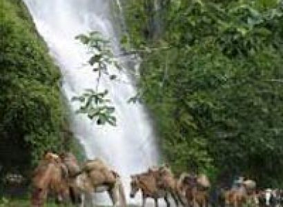 Buddhist Tour (6 Days/5 Nights)