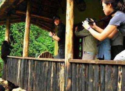 Uganda and Rwanda Primate, Gorilla Tracking and Game viewing tour