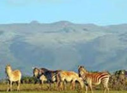 8 Days Mt Elgon & Jinja tour