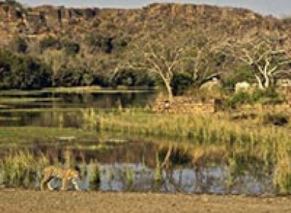Gujarat Wildlife Tour