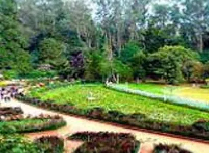 South India Package - Bangaluru 6N/7D Tour