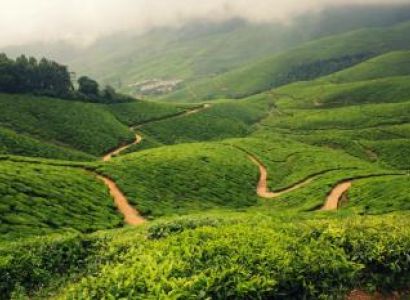 Kerala Hill Station & Backwater Package