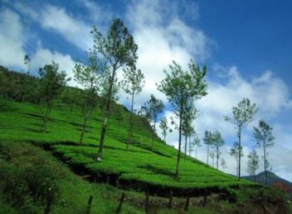 Kerala Hill Station Package 5 Days