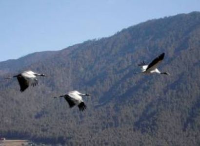 18 Days Thimphu & Paro & Punakha & Trongsa & Mongar & Bumthang & Zhemgang & Sarpang & Wangdue Phodrang Tour Package Budget