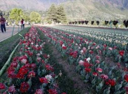 Kashmir Package 03 Nights - 04 Days