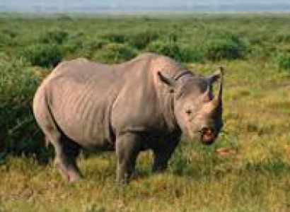 5 Days Awesome in Northen Circuit Tour