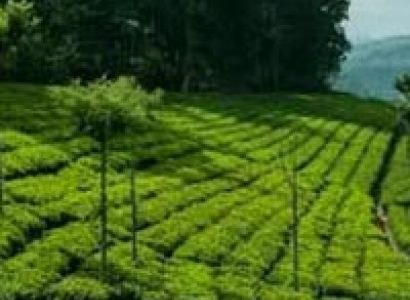 Coonoor with Ooty Tour