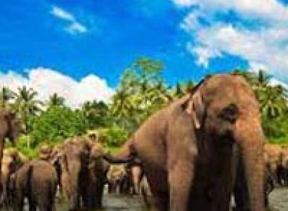 Best of Sri Lanka Holidays Package