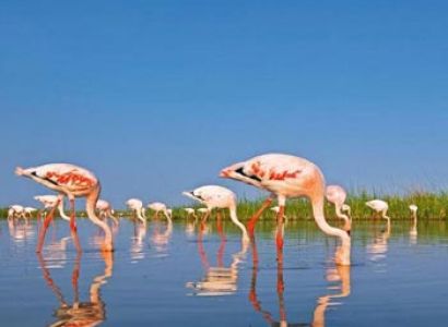 Complete Gujarat Tour