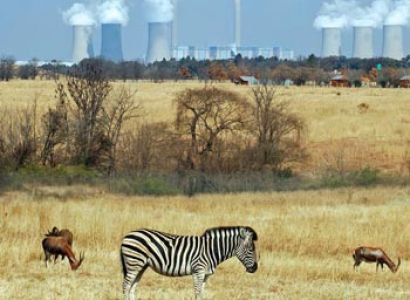 East & South Africa Tour Package